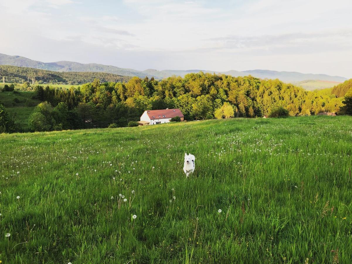 Zapomnienie Villa Nowa Ruda Dış mekan fotoğraf