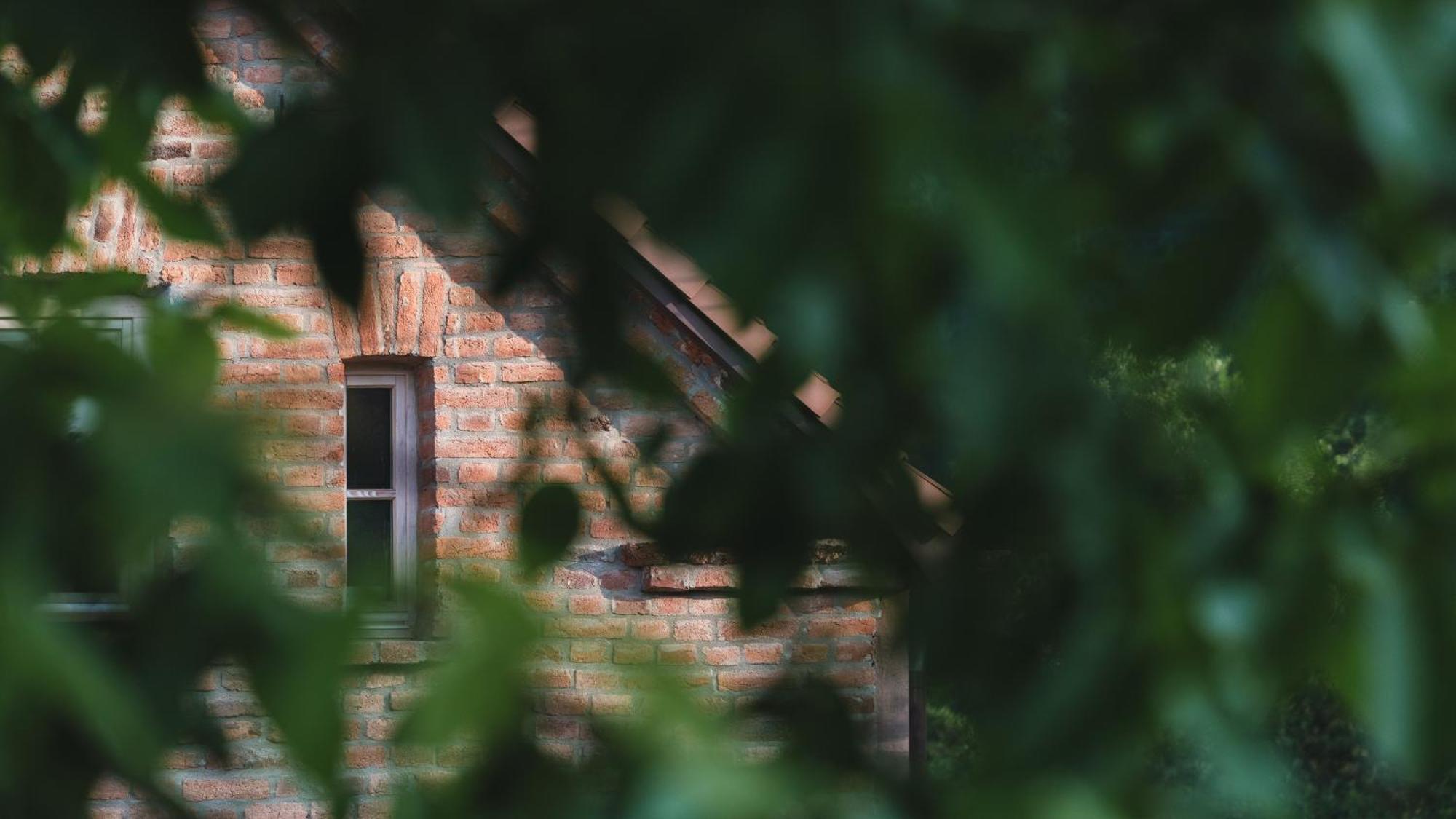Zapomnienie Villa Nowa Ruda Dış mekan fotoğraf