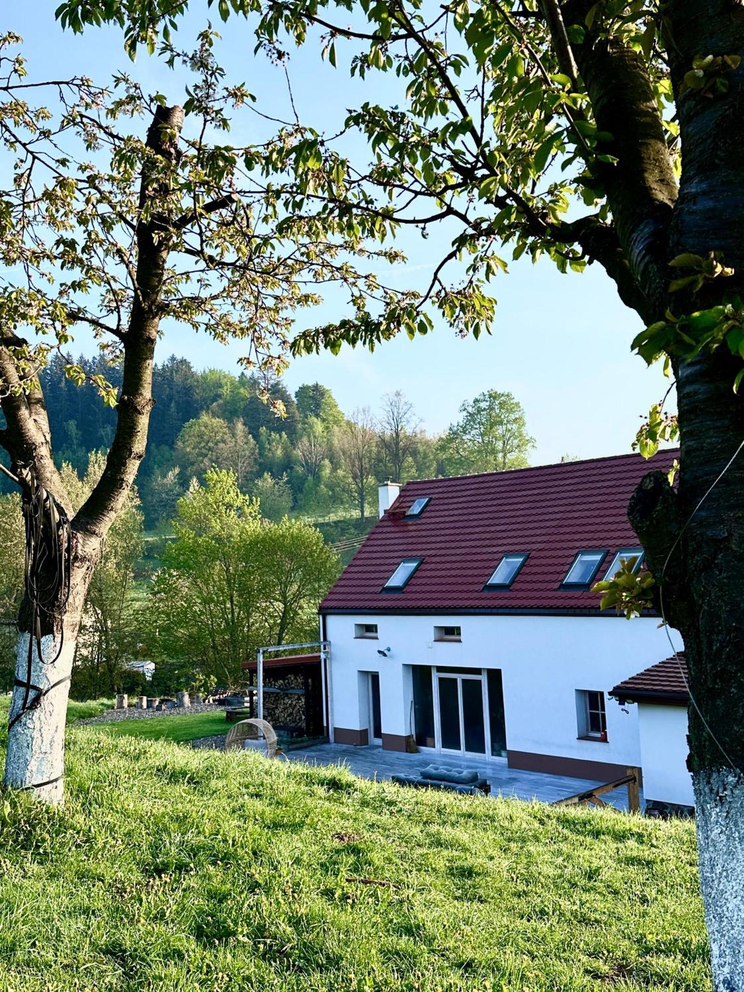 Zapomnienie Villa Nowa Ruda Dış mekan fotoğraf