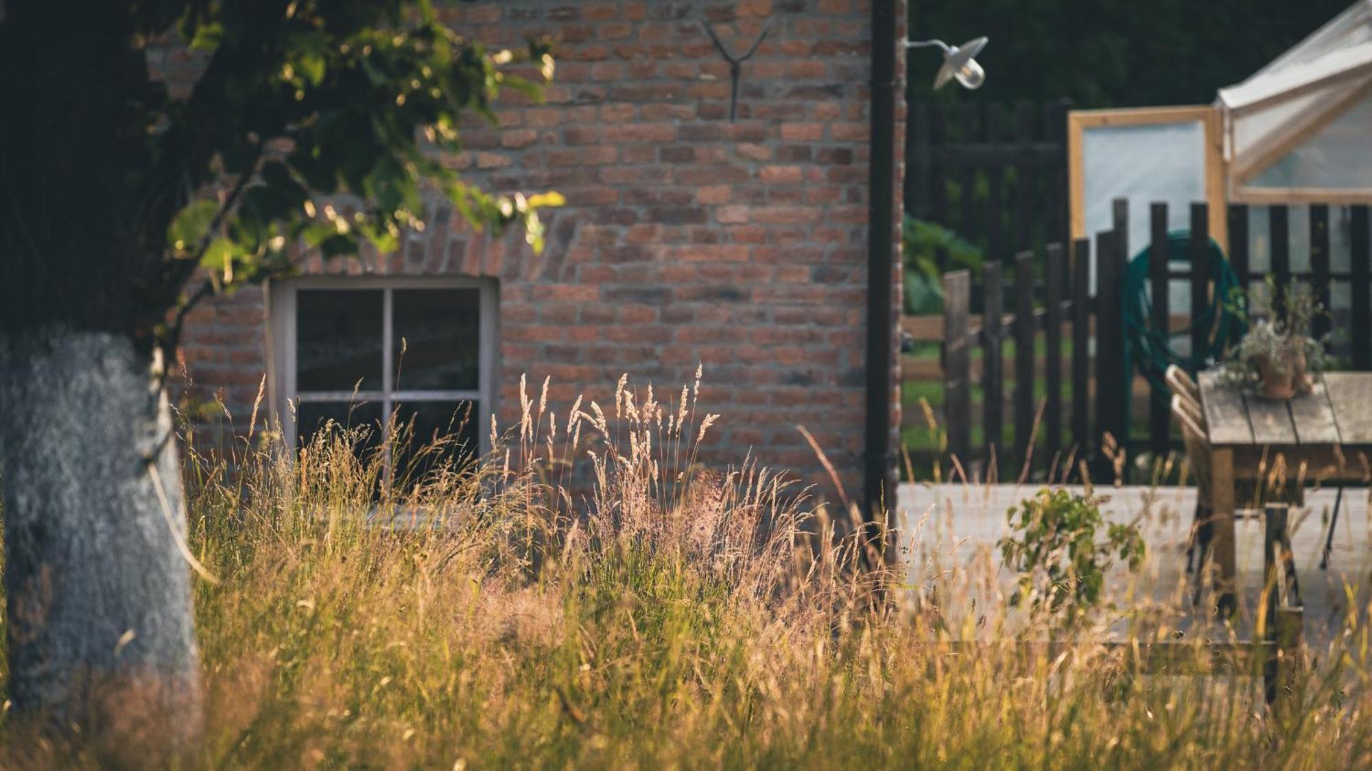 Zapomnienie Villa Nowa Ruda Dış mekan fotoğraf
