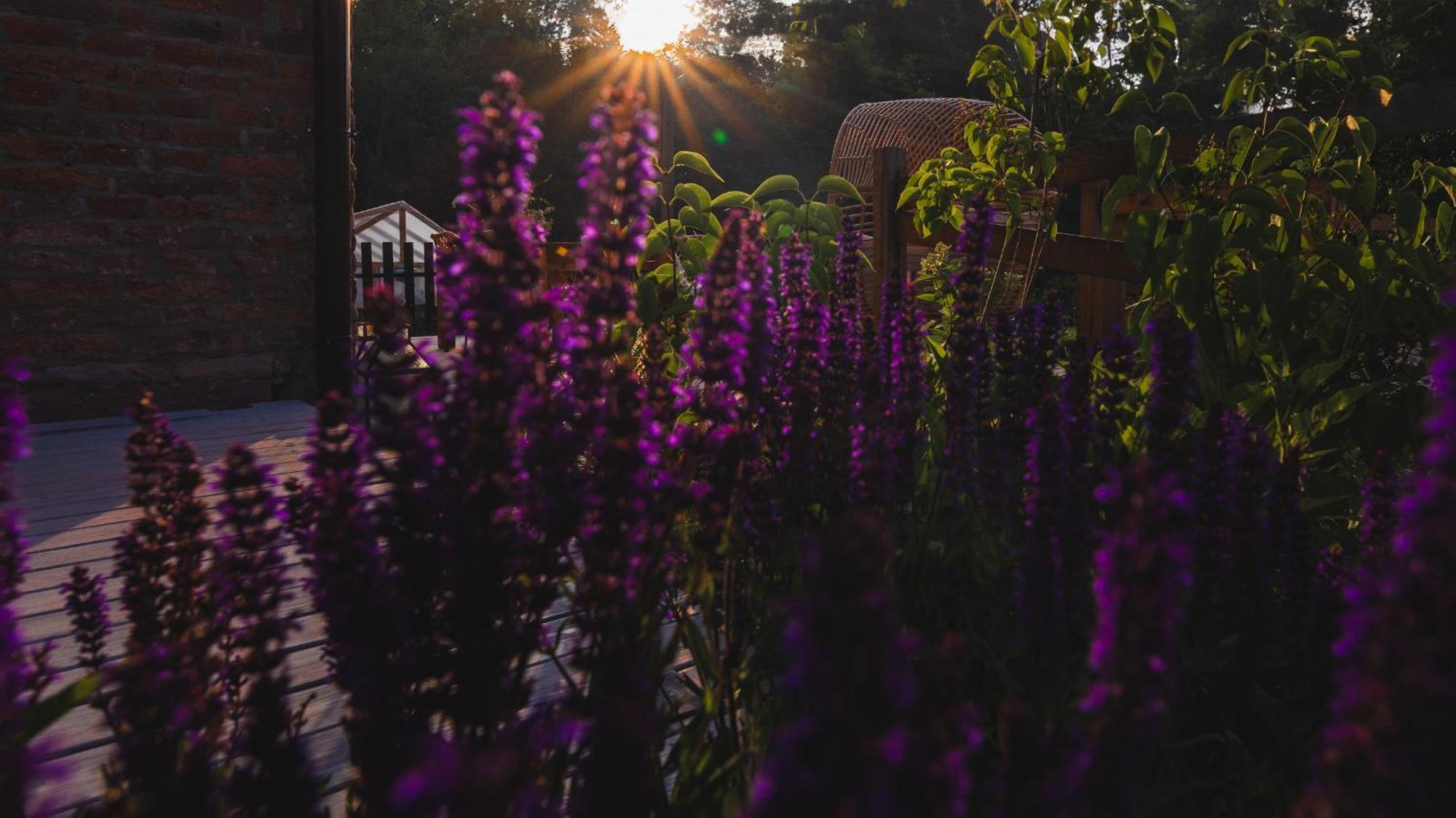 Zapomnienie Villa Nowa Ruda Dış mekan fotoğraf